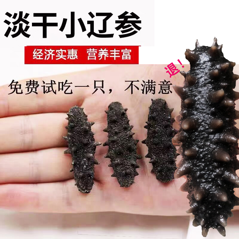 大连海参干货野生辽参迷你淡干小海参刺参速发酒店供货即食纯淡干