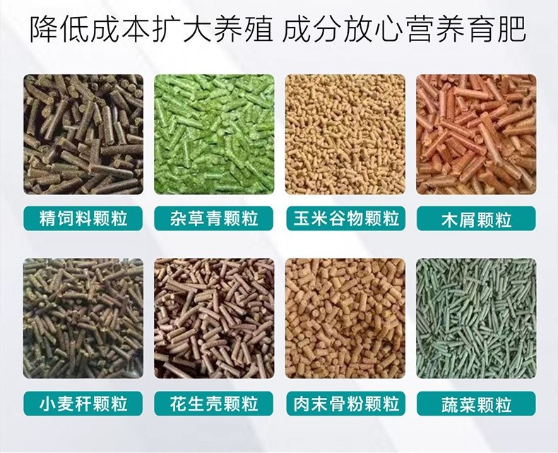 饲料颗粒展示.jpg