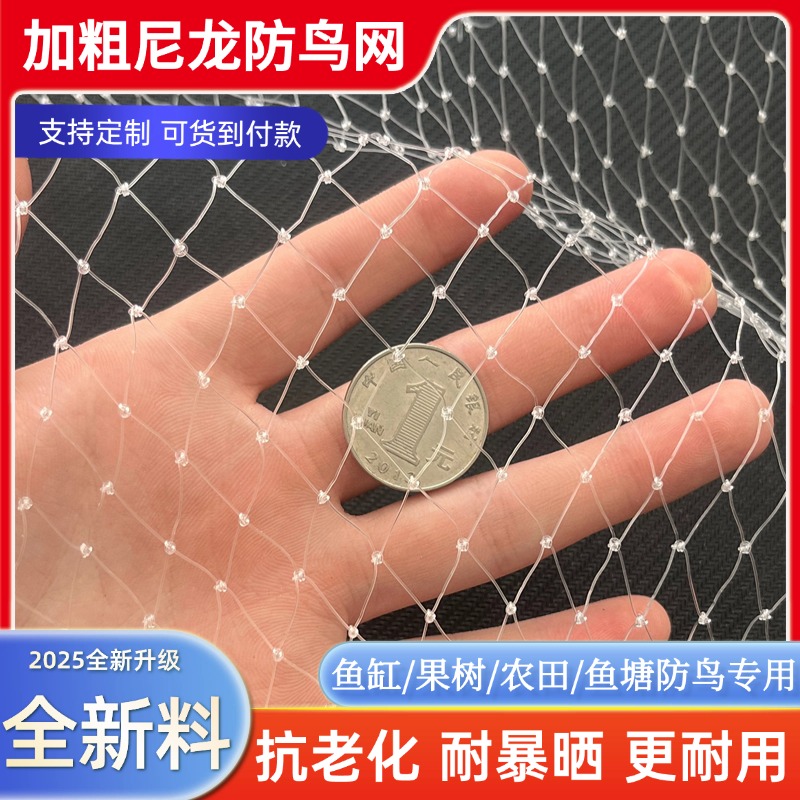 果园大棚天网果树防鸟网天沟网鱼塘防鸟网尼龙养殖网樱桃防鸟网