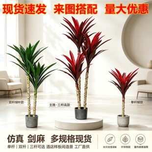 ���W���愦��t�F���҃ȿ͏d��ؼپGֲ��䁾Ƶ��쾰����ֲ������