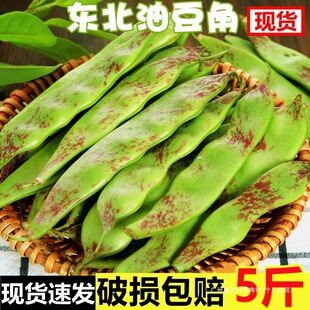 �|���Ͷ��ǬFժ���r�߲�һ�c�t�Ͷ��Ǿ����������������]10����