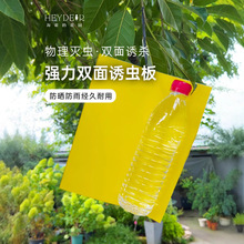 SpճxERNS{wxСw@մωTճ