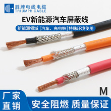 新能源全车整车电缆EV电动汽车电池电机连接线内部连接线