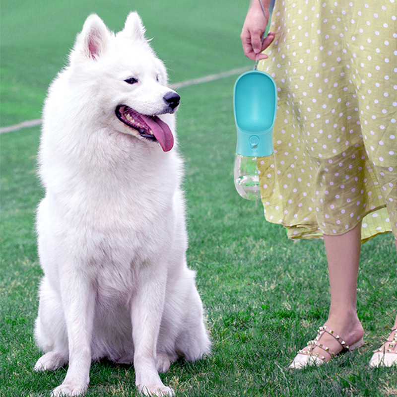 Procesamiento de tazas para mascotas personalizadas, tazas de agua portátiles, botellas de agua para viajes al aire libre, con elemento filtrante, tazas para beber para mascotas