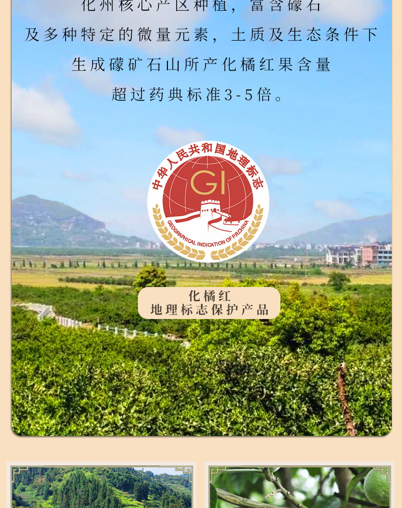 Huazhou Tangerine Peel Slices Hua Ju Hong Citrus Grandis Exocarp Gift Box 300g specifications