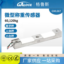 SGML667÷Q؂߾΢͉yС̨