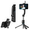 C01s [black - 1m] stainless steel pole + fill light + detachable clip head + bluetooth remote control