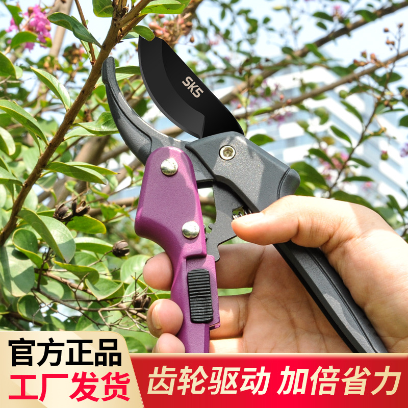 齿轮式果树剪SK5齿轮剪刀省力园林剪刀滑轮剪剪园艺剪园林工具