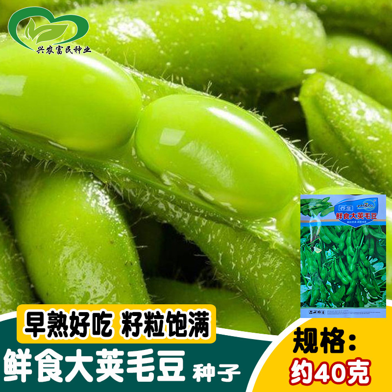 Yanyou Fresh Large-Pod Edamame Seeds, Large, Early-Maturing and Delicious, Full-Capsulesed Edamame Seeds, Vegetable Garden Farm Vegetables