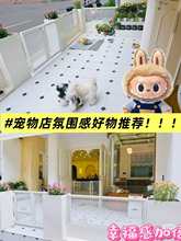 �����Fˇ����W��M�ό�����o�ڎ��T��[�����̘I�և��ڻ���