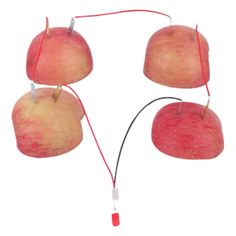 Эксперимент по электрогенерации на фруктах, эксперимент по производству электроэнергии из яблок и картофеля, физическое оборудование для малых экспериментов