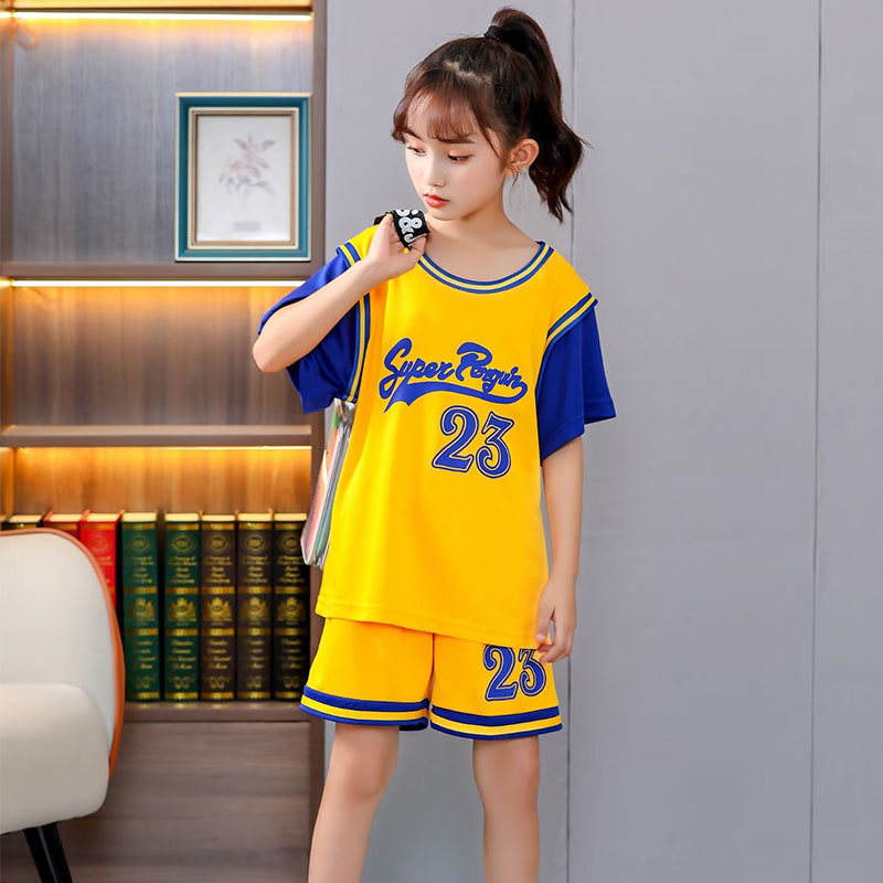 섹션 229-노란색