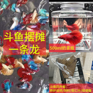 ̩�����~10�l�����l��Ʒ���»�ɫҹ�Д[�����Iһ�l���~���f������