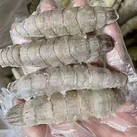 鱼类;虾类;贝类