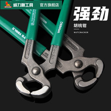 �����{�����Qľ�����������QЬ����Ь���߼����ݰ���Q�������Q