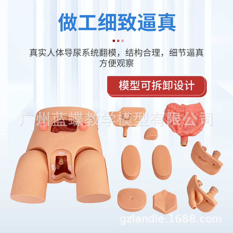 ����������ֳ����ģ�ͼ��׵���ģ����Ů�Ե���ѵ����ʾ��ϰģ��