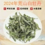 福鼎老树荒山好茶散茶