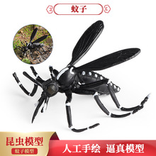 �羳���ķ��湝֫���x����ģ���w�x�����ĺ��ÿ����M��ߔ[��