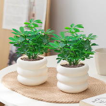 �˷���ؔ���������ļ����B�҃ȿ͏d�̨���ܾGֲ����ȩ�k����ֲ��