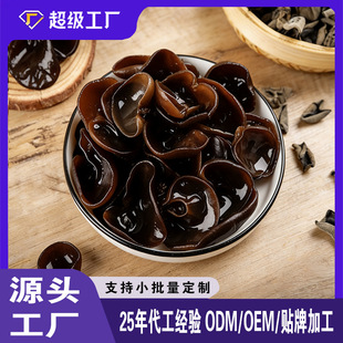 �|���긣ɽ���ľ����Ҏ�����ľ����؛��ľ����ľ��