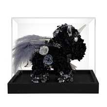 ������������ǫF��������Ʒ�߼����r���Y��Ů�����˹����S���l