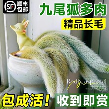 ��β������ֲ���҃������k������[���������ͺ��Lܛë�׺�С�Gֲ