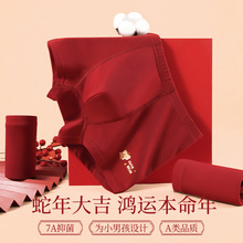红色内裤男童纯棉本命年平角短裤大童儿童蛇年新款2026马年批发
