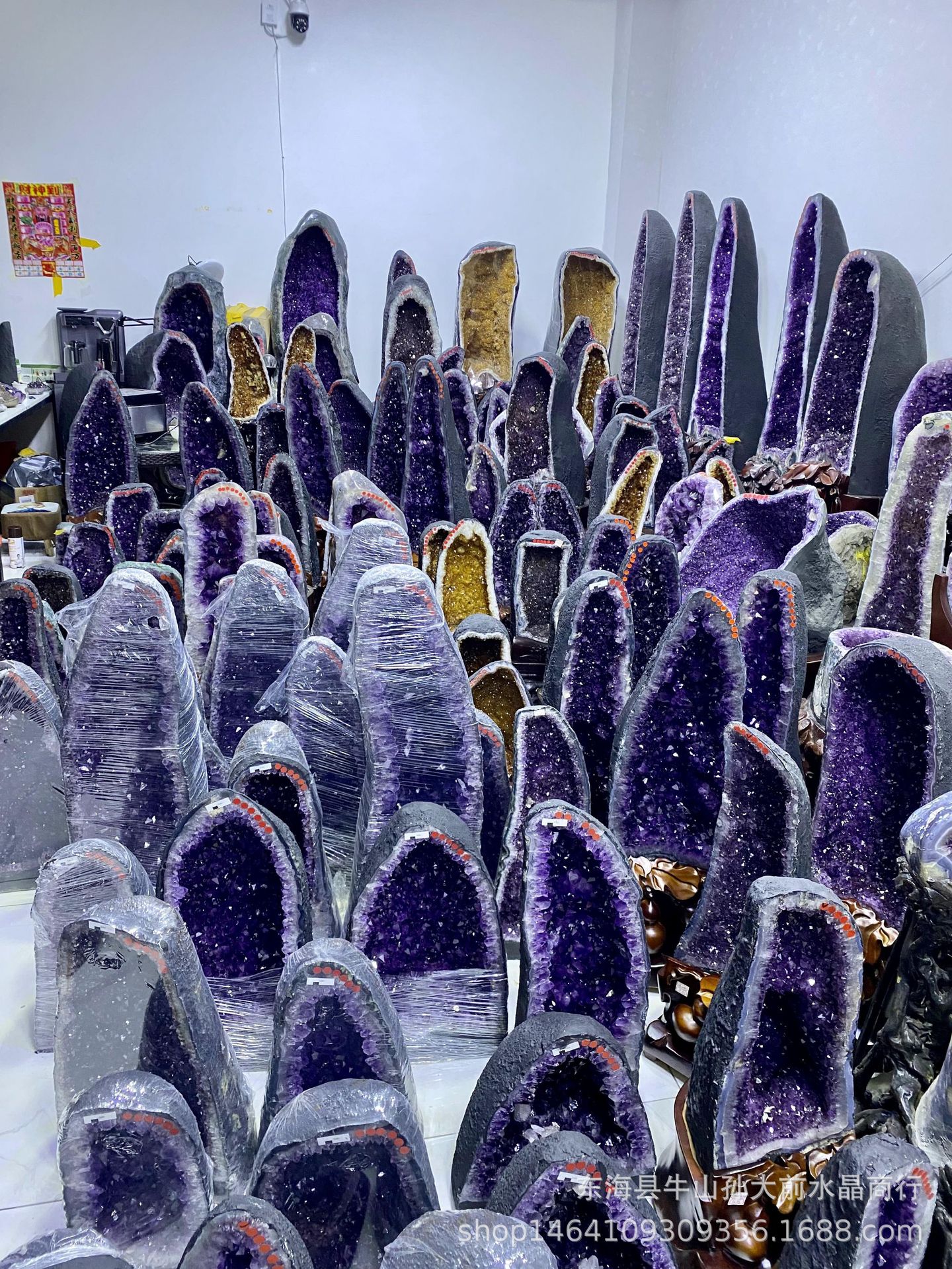 2023_11_29_10_15_IMG_1546