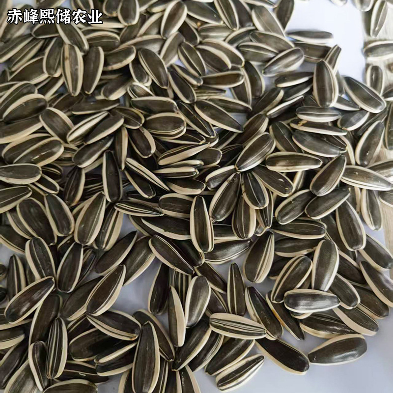 b1d8067cbb74ac9bb1807c33d0d79d