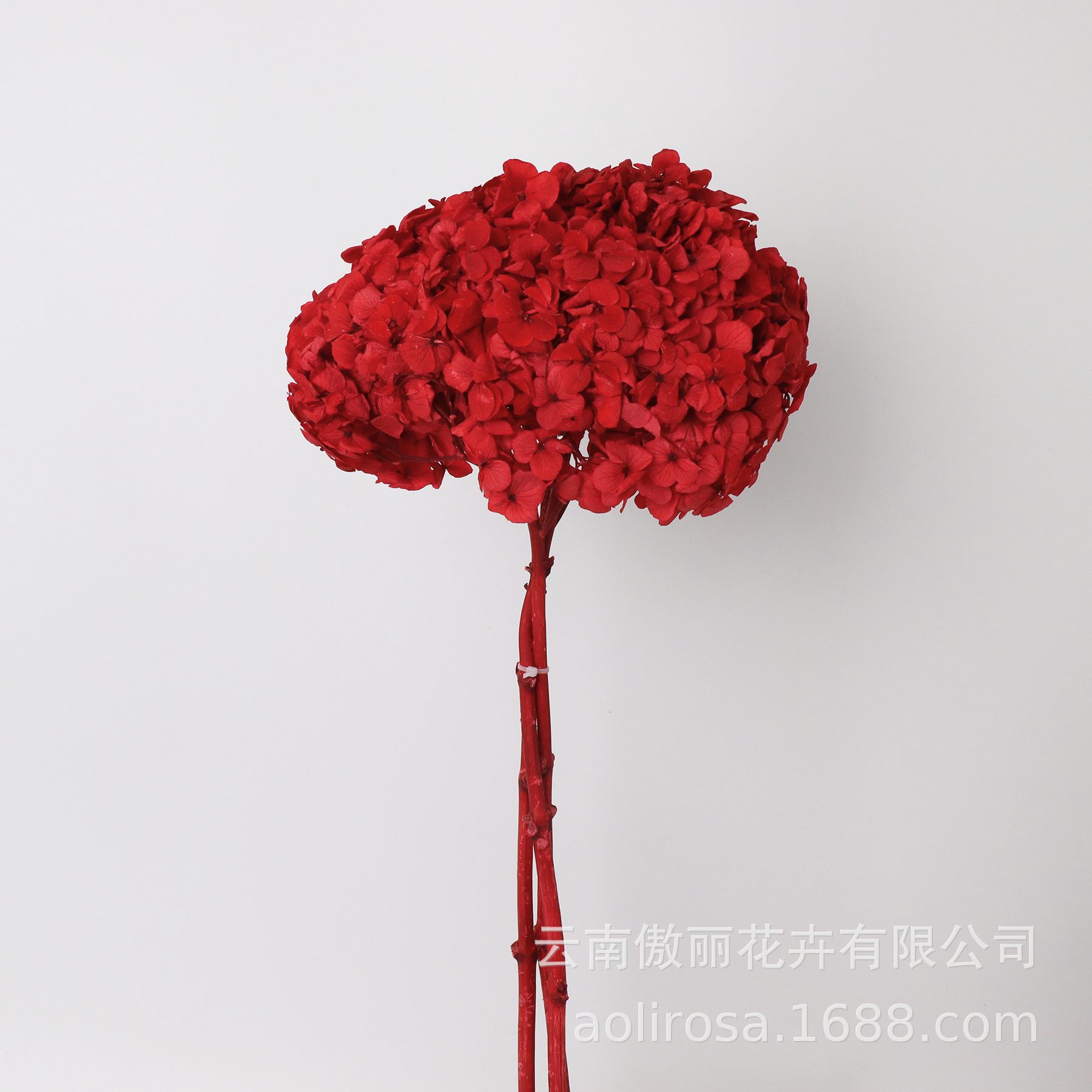 Hortensia de hoja grande flor permanente sola Hortensia con varilla decoración boda decoración floral DIY flor material fábrica al por mayor