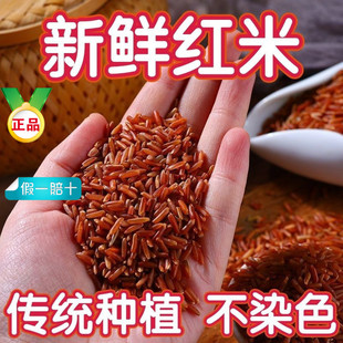 ������؛�L���A���t�׼t�����r�Ҽt��������s�Z�״ּZ�������l