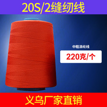 202�p�x�� 2���д�ţ�о� Ƥ������p�x�� �p�Ͼ� �S��ֱ��