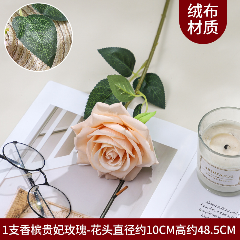 로얄 로즈 1개 - 샴페인 컬러