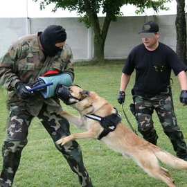 反恐治暴工作犬实战撞击口笼 训练防咬犬装备 软厚牛皮适合狗嘴