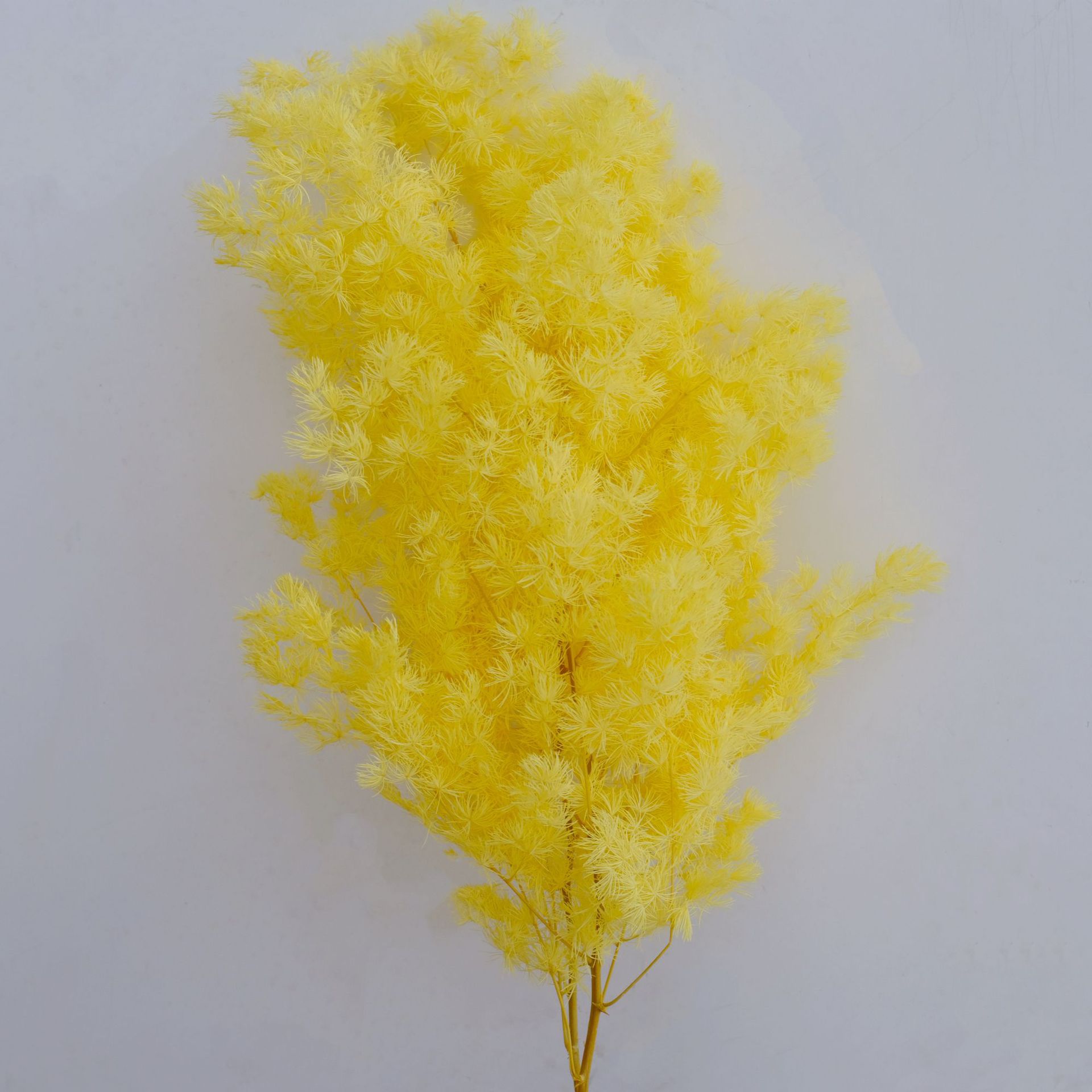 Goose yellow