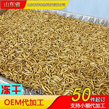 ��������x�S���x�}����ʳ�Zʳ���Z����~�B����������Z�Bʳ