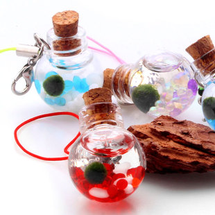 ���]marimo�Ҹ����ﺣ�������Bƿ�Ҹ�Īˮ��ֲ��΢���^�����S��ƿ