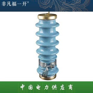 Medium voltage zinc oxide new blue ceramic lightning arrester Y5WS-17/50FT Guangdong type lightning arrester 12KV outdoor