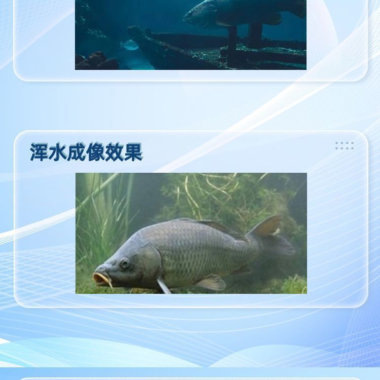 9b7d97a4-170d-4697-bf6a-54f3cafc3486.jpe