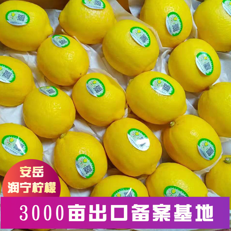 润宁当季新鲜出口孕妇水果多汁尤力克四川安岳黄柠檬一件代发批发|ru