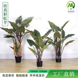 �F���L�b��þGֲ�辰���l����ʺ������� ���~�Gֲ�߼��п͏d