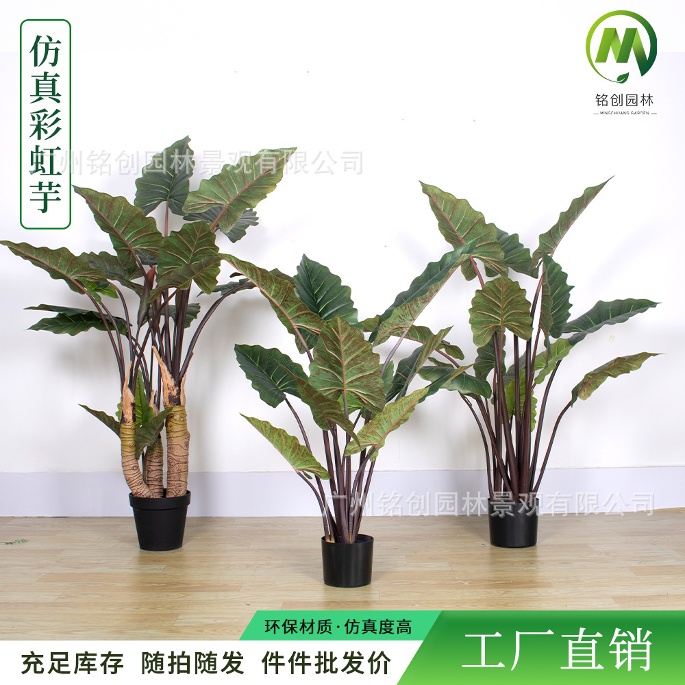 Estilo moderno decorativo planta verde bonsai al por mayor simulación Arco Iris Taro bonsai gran interior planta verde árbol artificial adornos