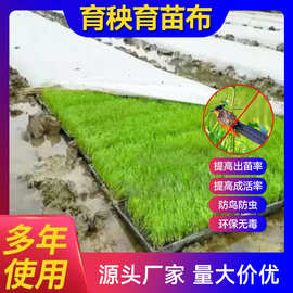 育苗无纺布 果蔬水稻农用白色透气保湿育苗无纺布厂家批发