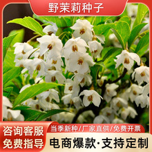 ���^����N�������򻨷N���Ի���ֲ��N�Ӱlѿ�ʸ����󃞻ݸ߳�ѿ