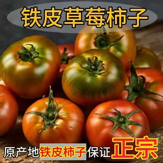正宗铁皮番茄丹东草莓柿子绿腚碱地柿子鹰爪盘锦铁皮西红柿水果