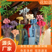 ���l�������S���� �}�Q�Ҿ��b�DIY�ɻ����滨���W�L���S