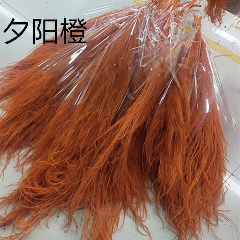 coucher de soleil orange / 80-100g
