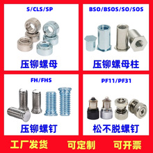 304���P�̼䓉��T��ĸ �C������ɲ�Ó�ݽz ͨ�����ǉ��T��ĸ��