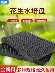 ���ϻ���ѿ�NֲѨ�Pˮ��Pѿ�������P�ڻ���ѿѨ�P�o������ˮ��