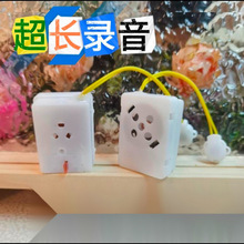 可录音DIY音乐盒按捏发声器毛绒玩具录音器表白放挂件娃娃亚马逊